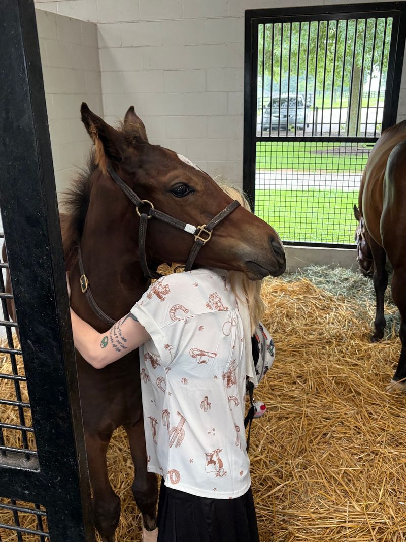 This Kentucky Farm Lets You Spend An Afternoon Grooming Horses In The Heart Of Bluegrass Country - Decor Hint Yearlings With Big Dreams
