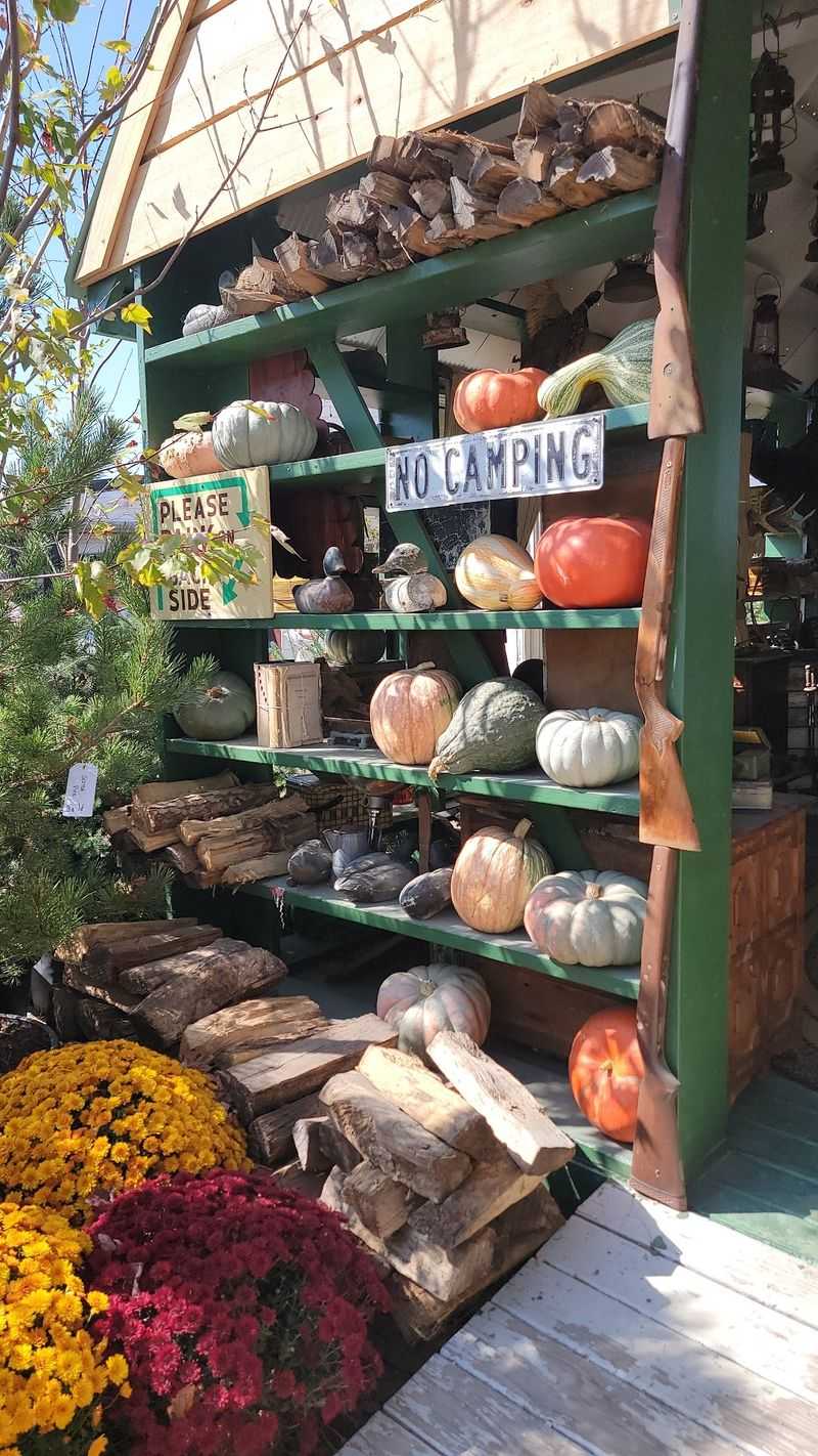 Apple Cider Donuts and a Long Row of Food Trucks