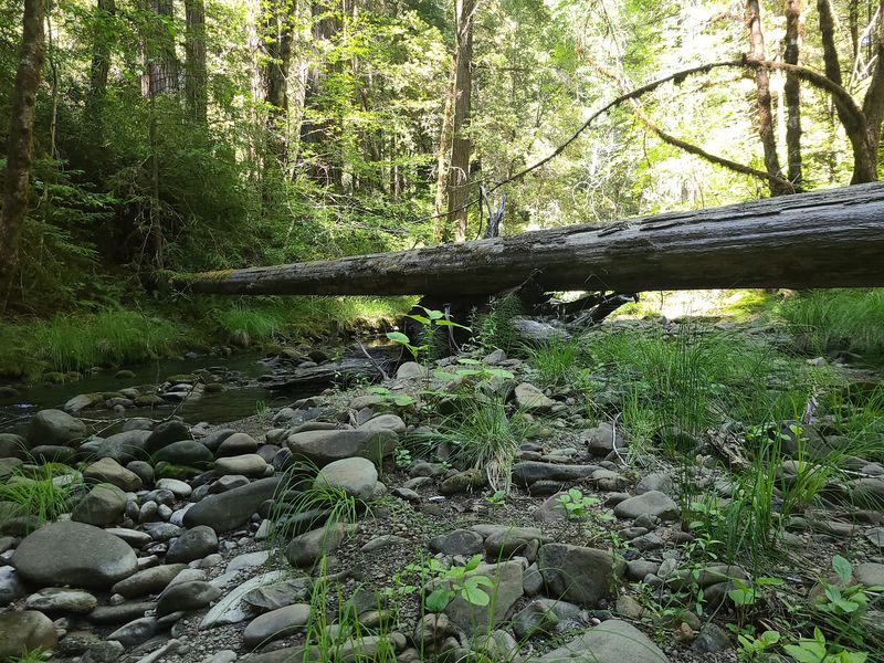 12 California State Recreation Areas Perfect For A Quiet September Escape - Decor Hint Admiral William Standley State Recreation Area, Branscomb