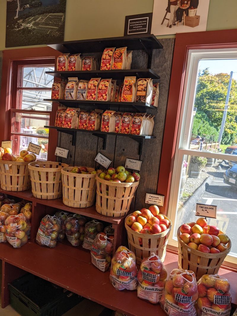 Fresh Cider Adds Another Taste Of Autumn
