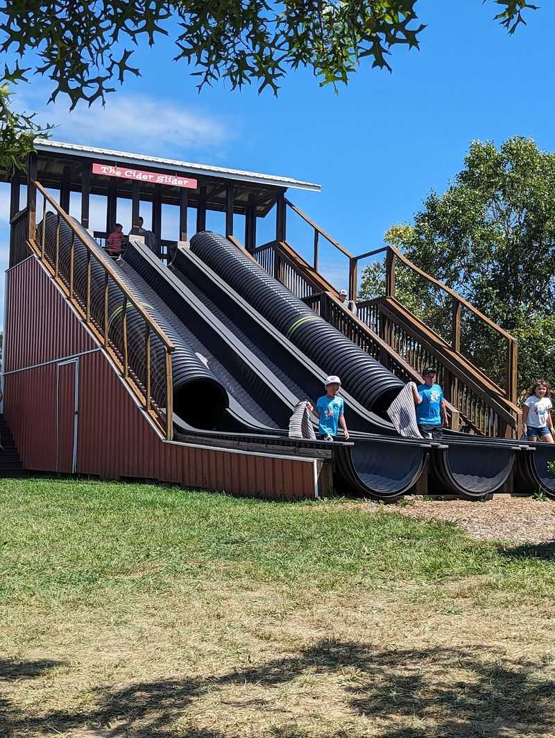 This Kentucky Farm Makes Homemade Apple Slushies And Has Animals Waiting Outside - Decor Hint Four Sixty-Foot Slides And A Tire Maze