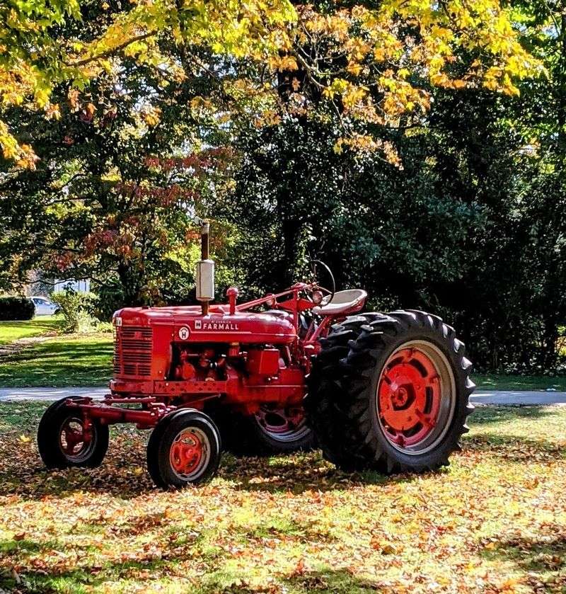 Autumn Feels Extra Special Here