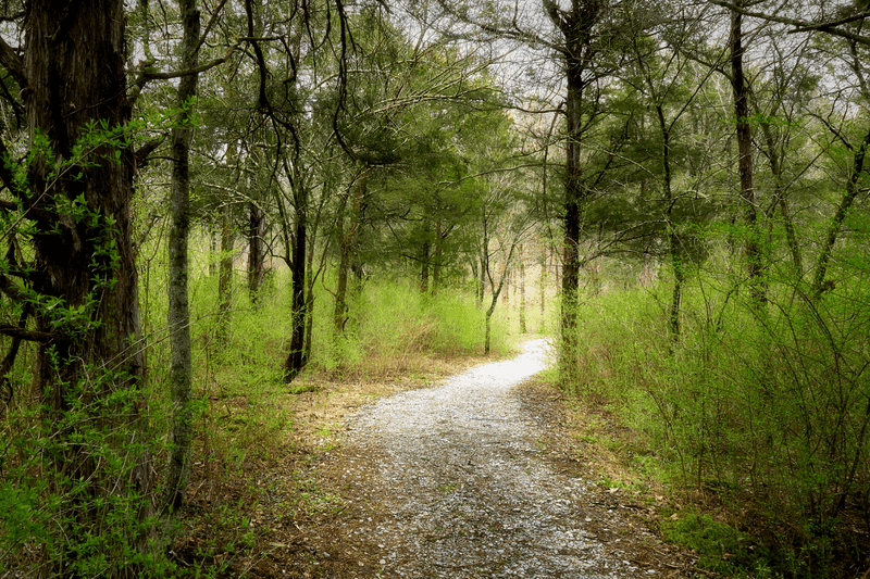 Dupree Nature Preserve
