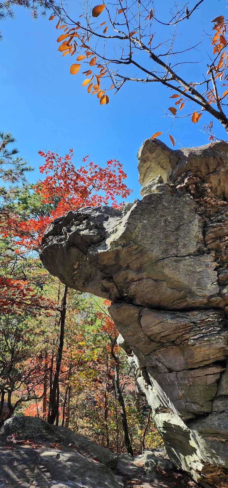 12 Dirt-Cheap Fall Day Trips In North Carolina You'Ll Want To Take This Year - Decor Hint Hanging Rock State Park, Danbury