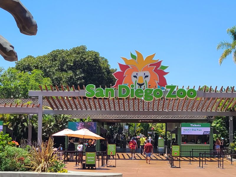 HalGLOWeen At The San Diego Zoo