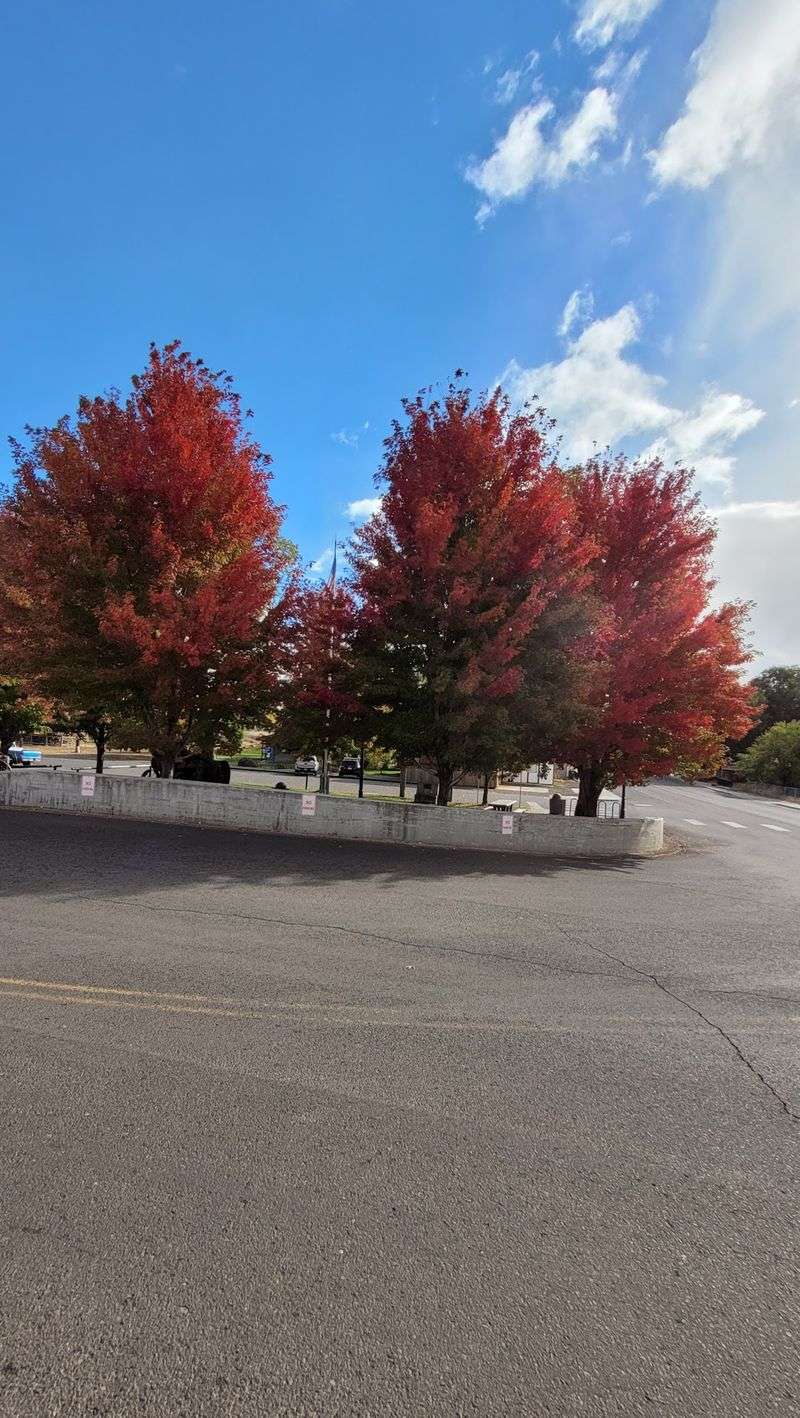 Seasons In Adams County