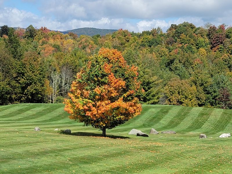 This North Carolina Mountain Festival Turns Oktoberfest Into A Full Weekend Of Fall Fun - Decor Hint Take Advantage Of The Free Parking And Shuttle Before The Crowds Build