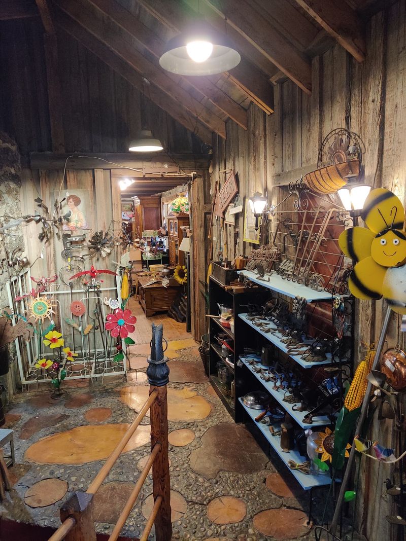 This Idaho Antique Shop Lets A Crew Of Rescued Cats Nap Among The Vintage Shelves - Decor Hint Worth A Slow Wander