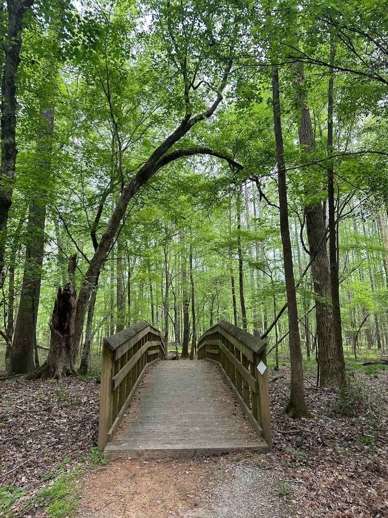 Glow Hikes And Special Events That Add Something Unexpected