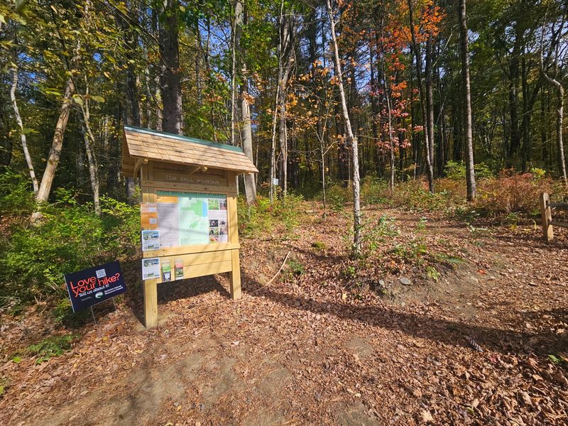 Tom Ball Mountain, Great Barrington