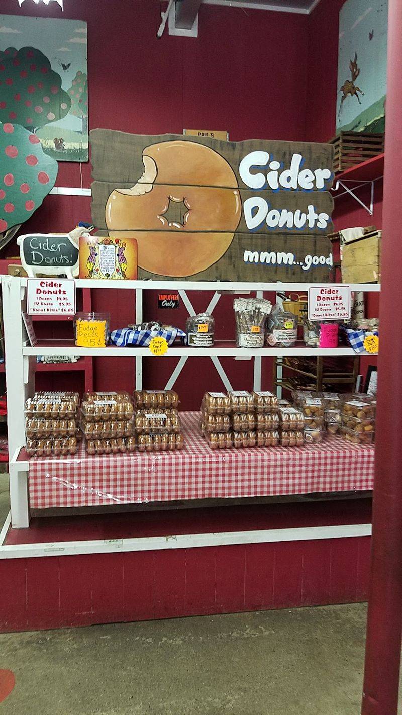 Cider Donuts Come Fresh From The Bakery