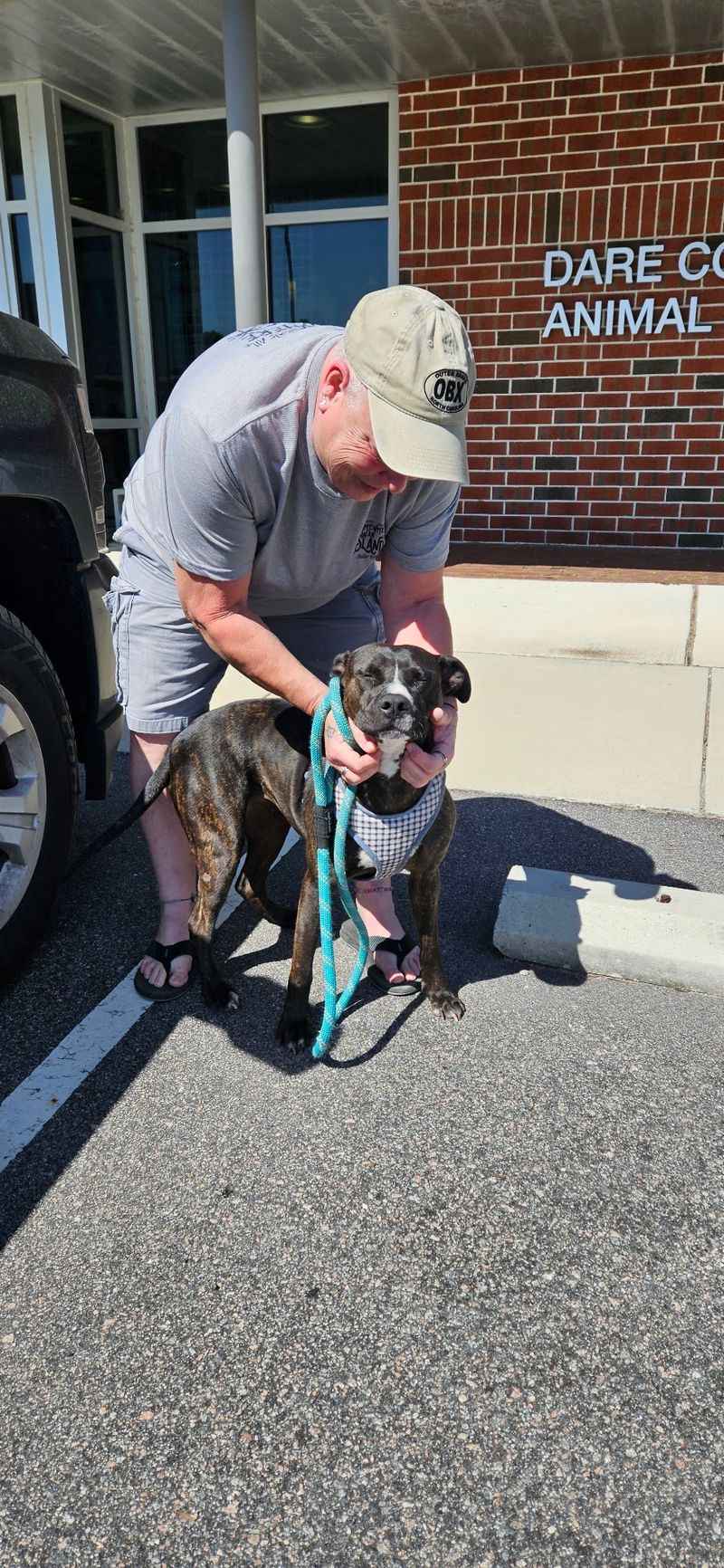 Outer Banks SPCA - Manteo