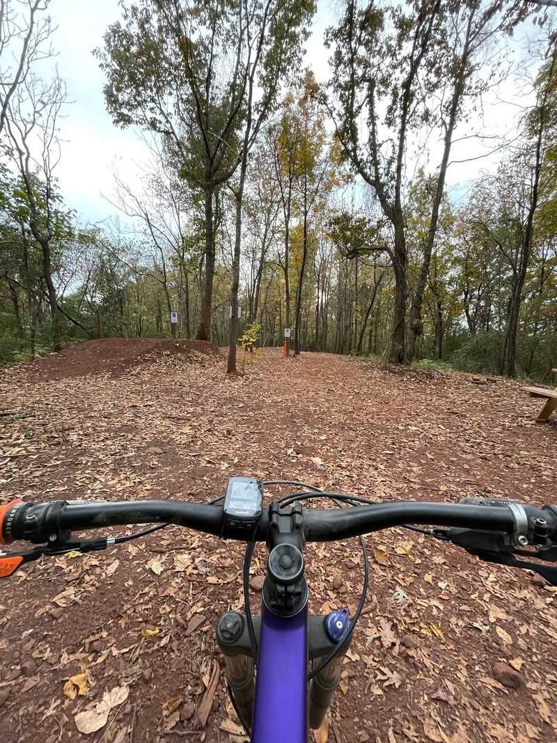 Plan The Climb Back