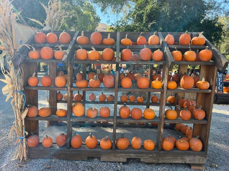 Greenspot Farms, Mentone
