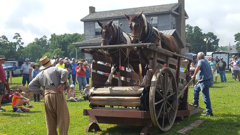 Live Auctions Add A Little Competition To The Hunt