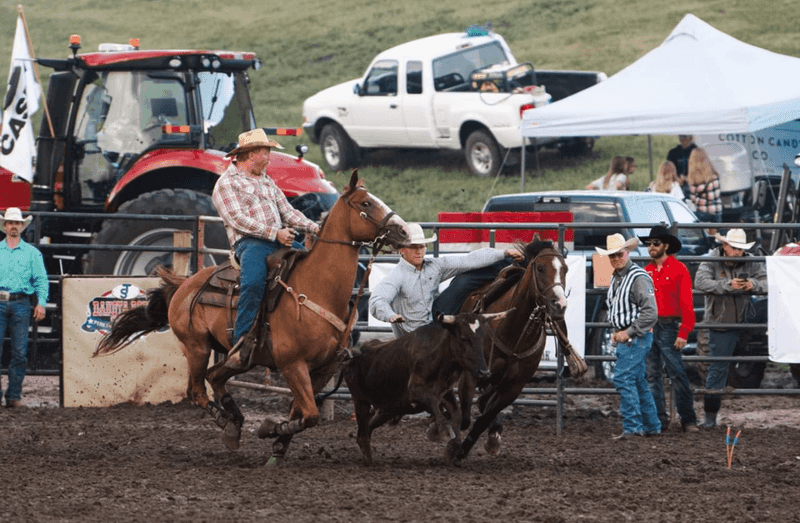 Year-Round Trails And Rodeo Thrills