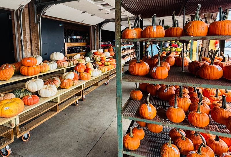 Take Home Flowers Or A Jack-O'-Lantern