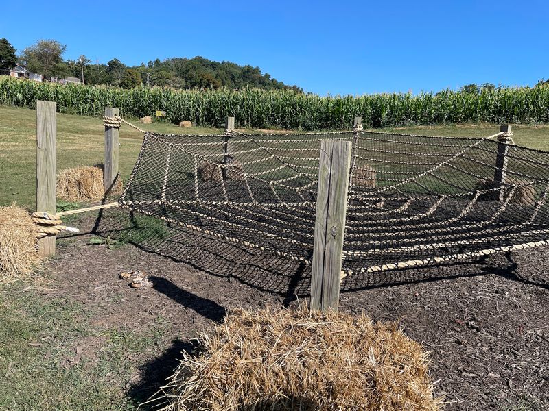 This Massive North Carolina Corn Maze Covers Six Acres And Has Been A Fall Tradition For 20 Years - Decor Hint A Giant Spider Climber Gives Kids Another Reason To Stick Around