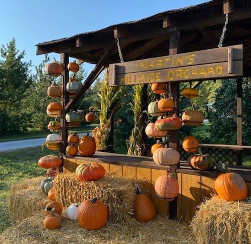 Cider Slushes, Apple Donuts, and the Farm Stand