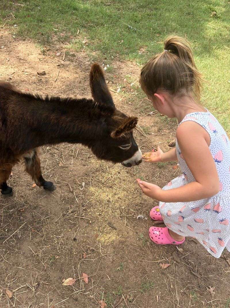 The Nature Co-Op Makes Learning Sneaky Fun