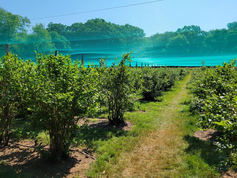 Fall Weekends Bring The Orchard To Life