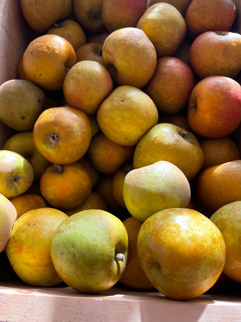 Unfamiliar Apples Turn Shopping Into A Taste Test