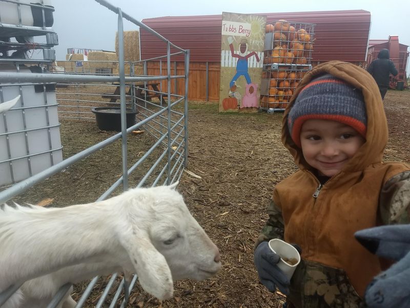Tubbs Berry Farm in Twin Falls