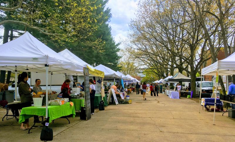 9 Connecticut Farmers Markets Brimming With Harvest Foods And Happy Crowds - Decor Hint CitySeed Wooster Square Farmers Market, New Haven