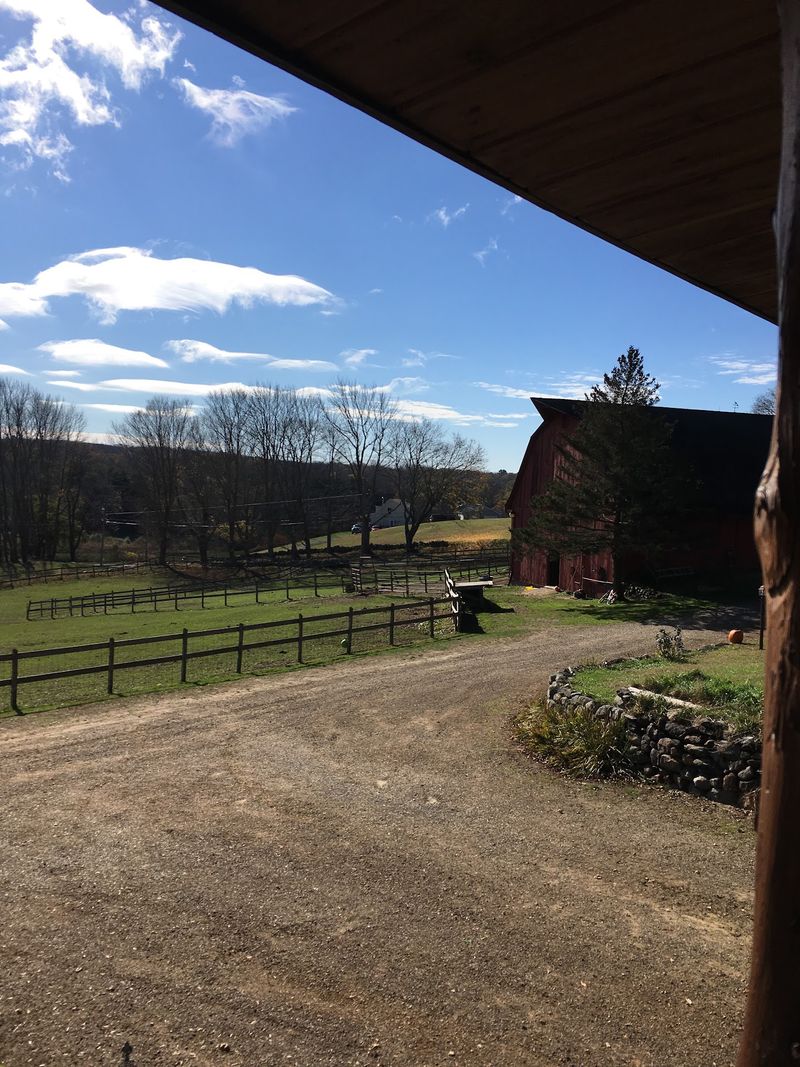 This Connecticut Farm Lets You Spend An Afternoon Grooming And Bonding With Horses - Decor Hint Country Roads Make The Journey Feel Like An Escape