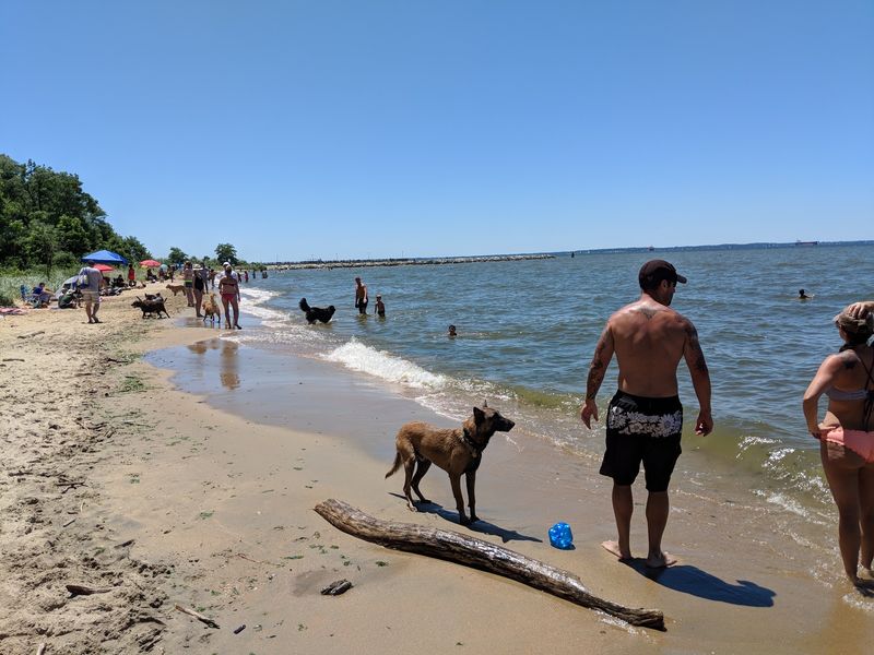 Matapeake Dog Beach, Stevensville