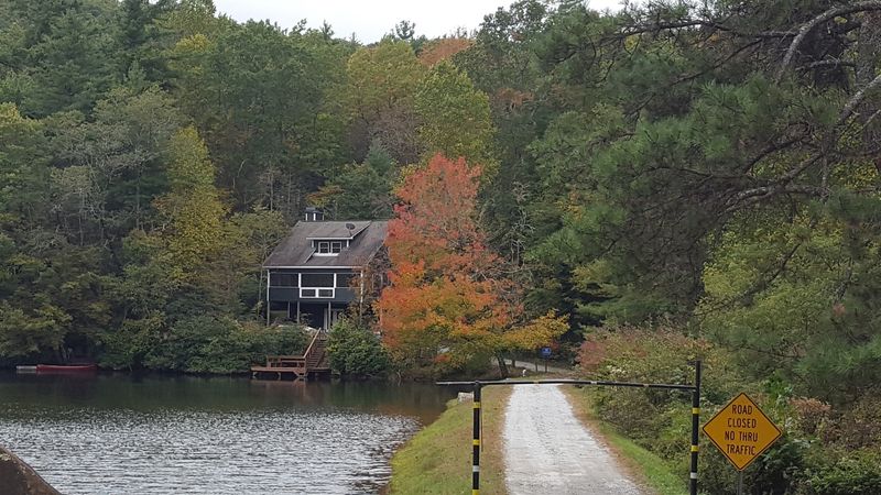 This Tiny Georgia Mountain Town Sits Above 3,000 Feet And Turns Gorgeous Every Fall - Decor Hint Trails Through Thick Mountain Forest