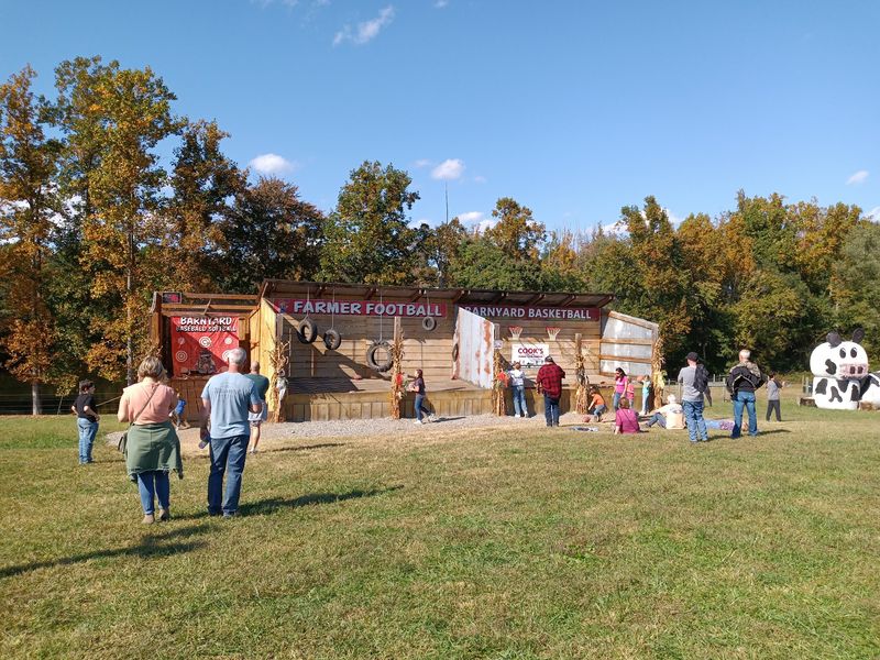 Challenge The Family To Pig Races, Duck Races, And Farm Games