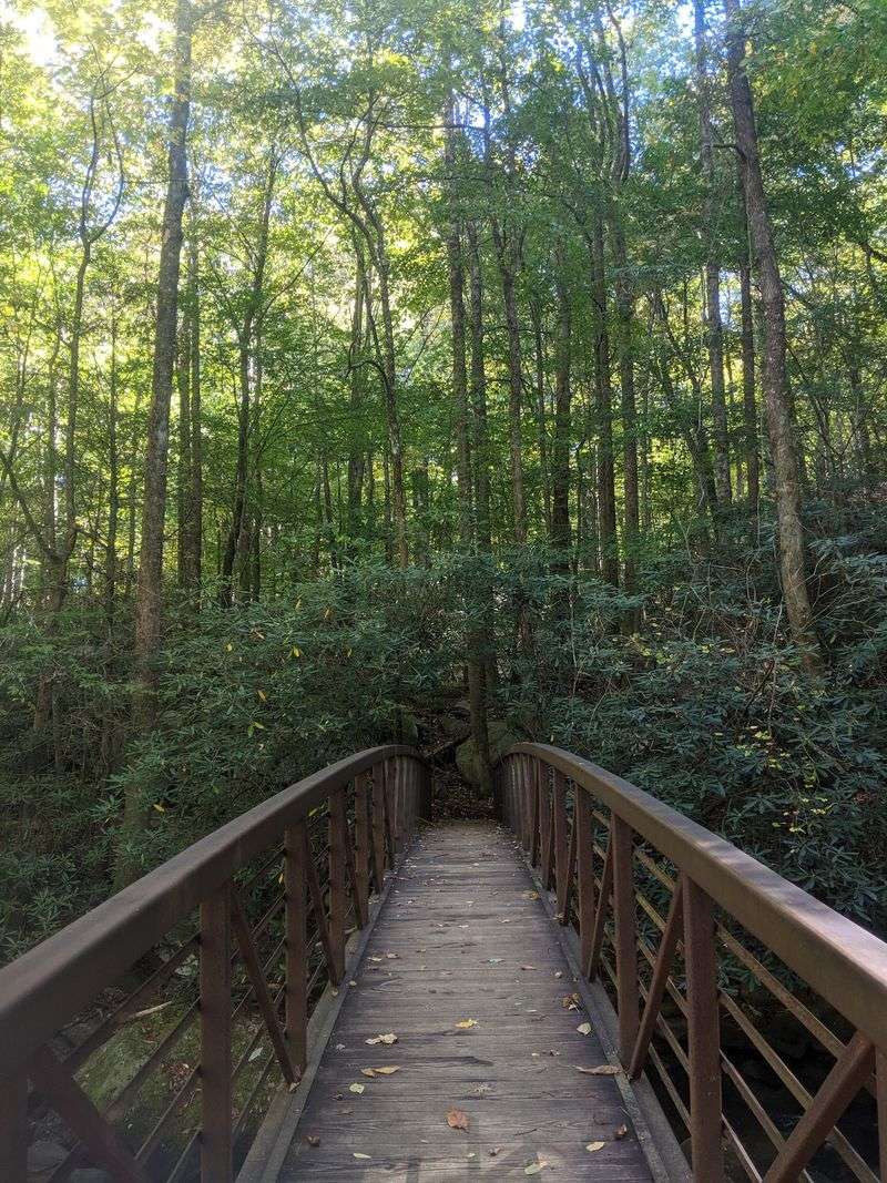 Jones Gap Trail, Marietta