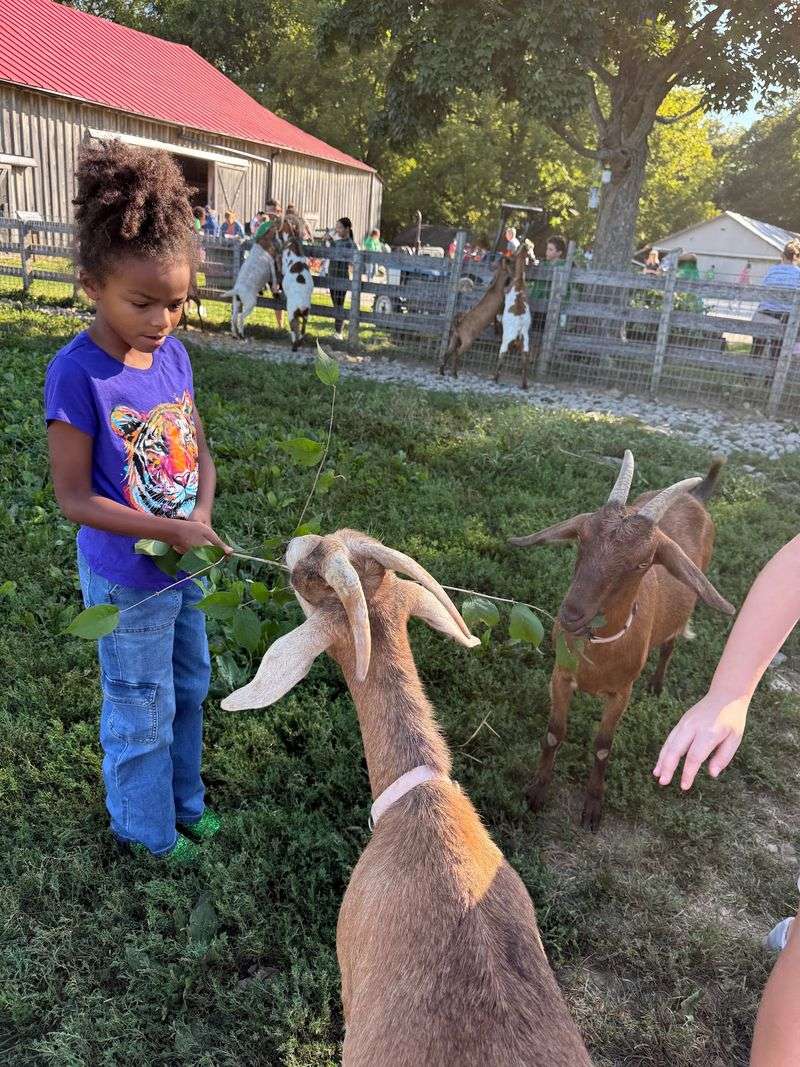 10 Kentucky Nature Playgrounds With Treehouses, Trails And Endless Adventure - Decor Hint Blackacre State Nature Preserve And Historic Homestead