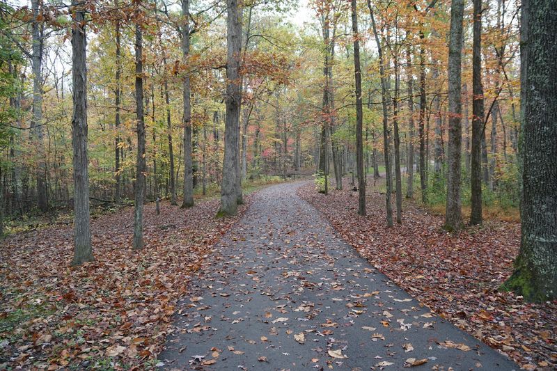 Indian Fort Mountain Trailhead