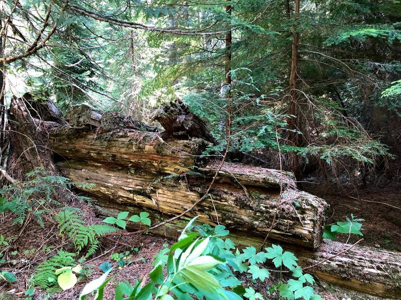 Prepare For A Short Hike With A Surprisingly Steep Climb Back