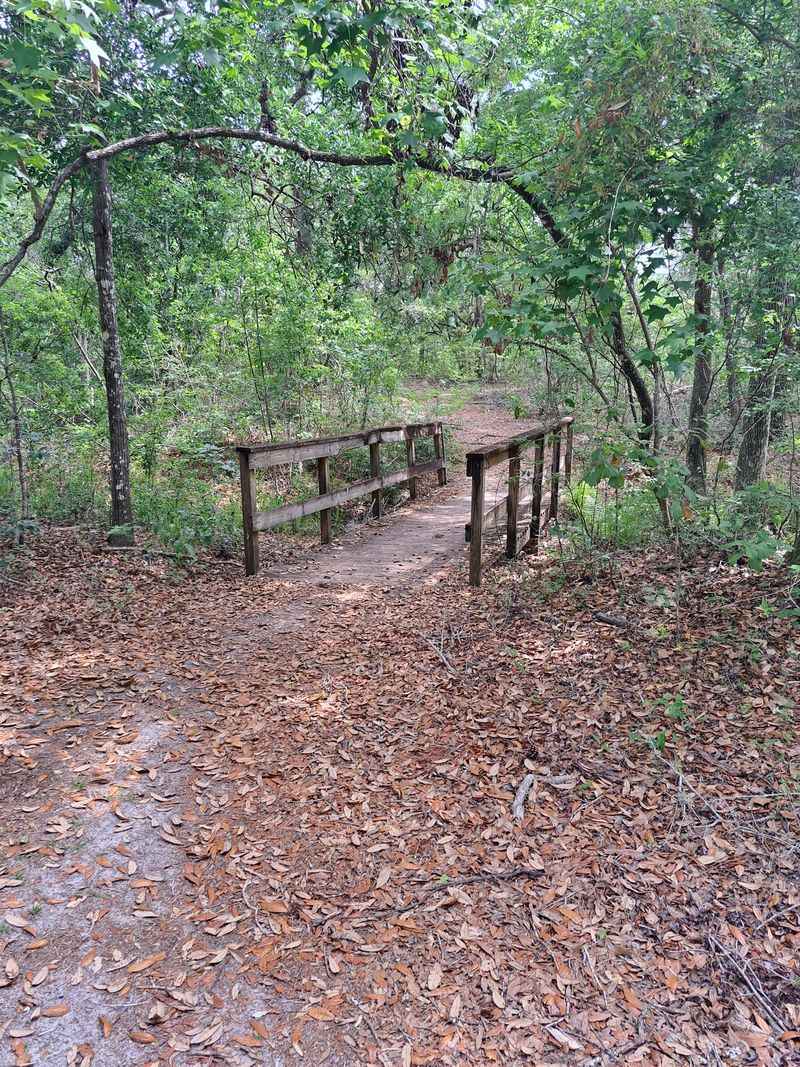 Twenty-Eight Miles of Trail, and a Paved Ribbon Between Entrances