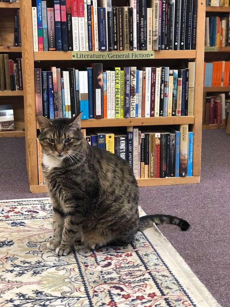 Kids' Shelves and Teen Reads for a Family Stop
