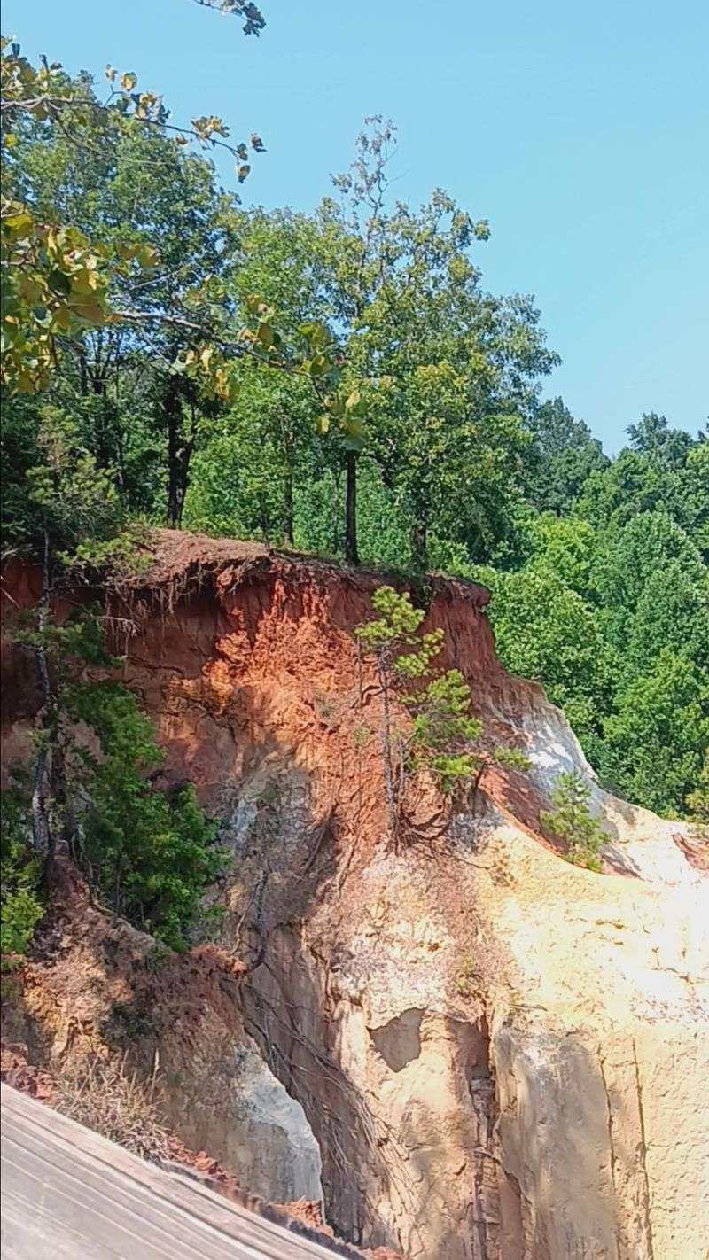 10 Georgia Hiking Trails Where Hikers Should Stay Snake-Aware - Decor Hint Canyon Loop Trail, Providence Canyon State Park, Lumpkin