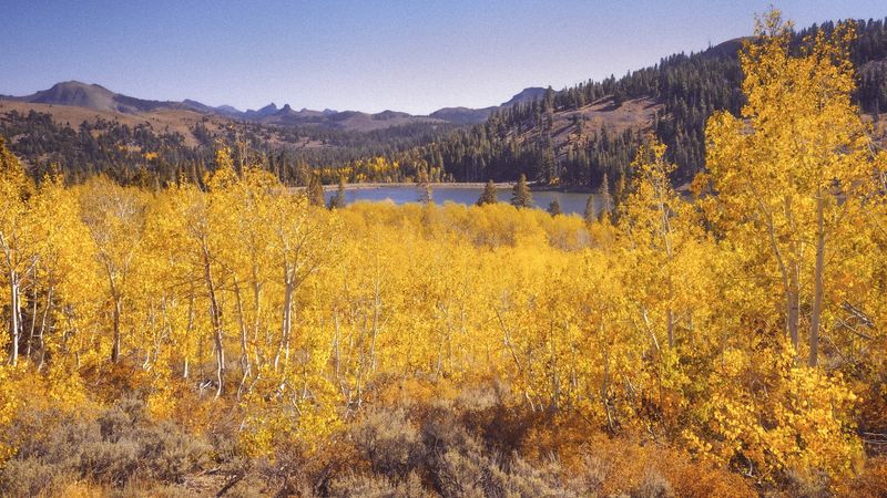 This Lesser-Known California Mountain Town Explodes With Fall Color Before Most People Expect - Decor Hint The Roads Around Town Are Half The Reason To Visit