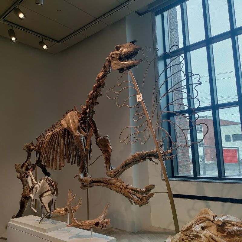 This Connecticut Museum Costs Nothing To Visit But Feels Like A Big-Ticket Attraction - Decor Hint One Visit Can Easily Stretch Into Hours