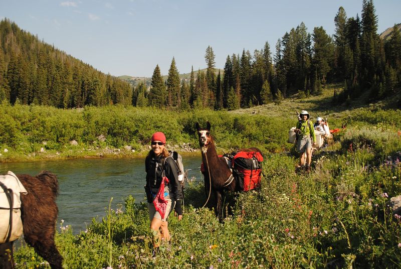 Small Hikers And First-Timers