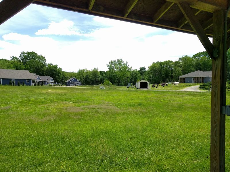 This Connecticut Cat Sanctuary Gives Rescued Kitties A Safe Place While They Wait For Forever Homes - Decor Hint Quiet Country Roads Surround The Ashford Sanctuary