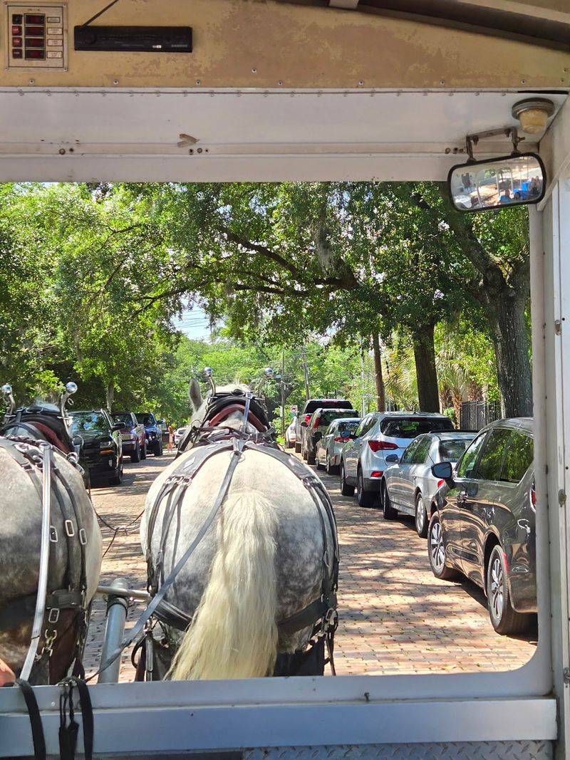 Your Driver Fills The Ride With Stories From Wilmington’s Past
