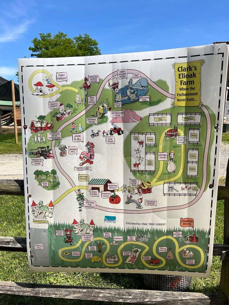 Wandering The Pine Tree Maze