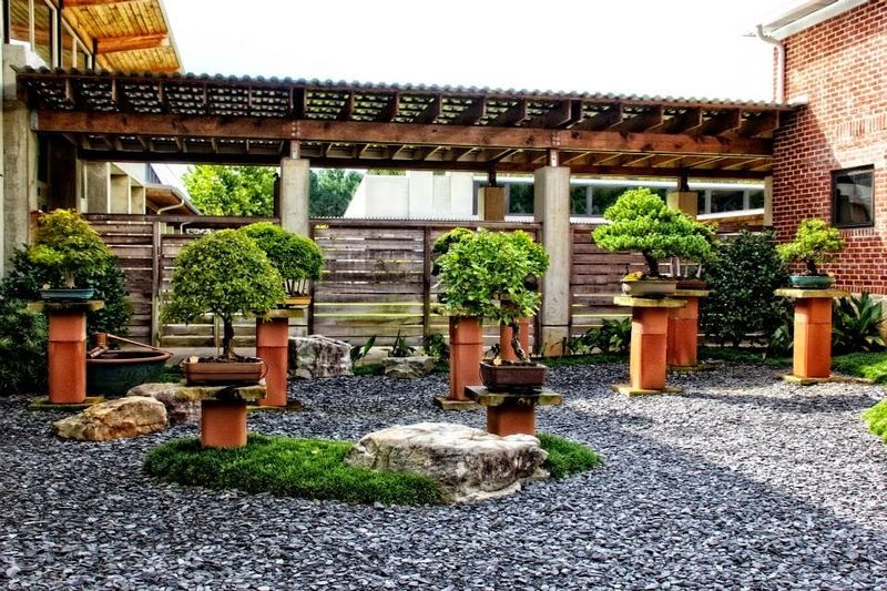 A Bonsai Collection, Tours, And Heritage Area Roots