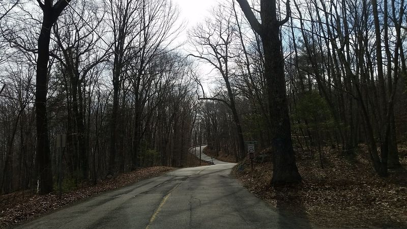 Quiet Corner Roads Set The Peaceful Scene