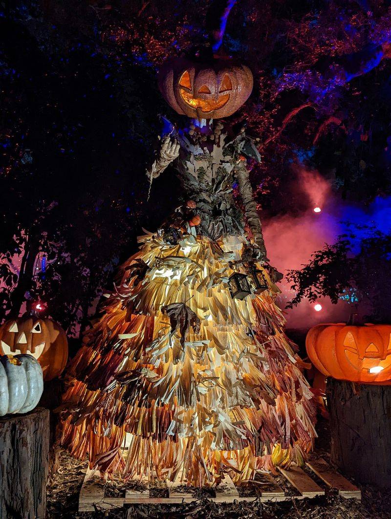 Pumpkin Architecture And Other Surprises