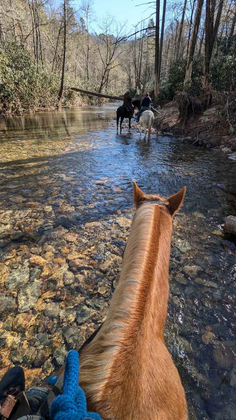 Cross The River Without Ever Leaving The Saddle