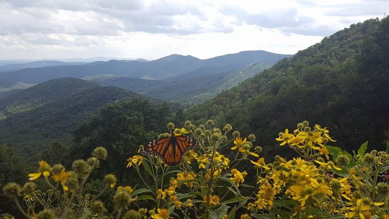 The Blue Ridge Parkway Is Only Minutes From Downtown